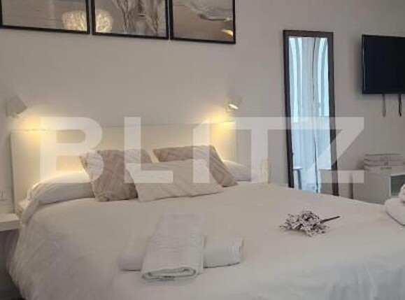 Garsonieră de închiriat Brazda lui Novac - 169145AI | BLITZ Craiova | Poza3
