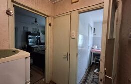 Apartament de vanzare cu 2 camere, 47 mp, zona Brazda lui Novac 