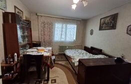 Apartament de vanzare cu 2 camere, 47 mp, zona Brazda lui Novac 