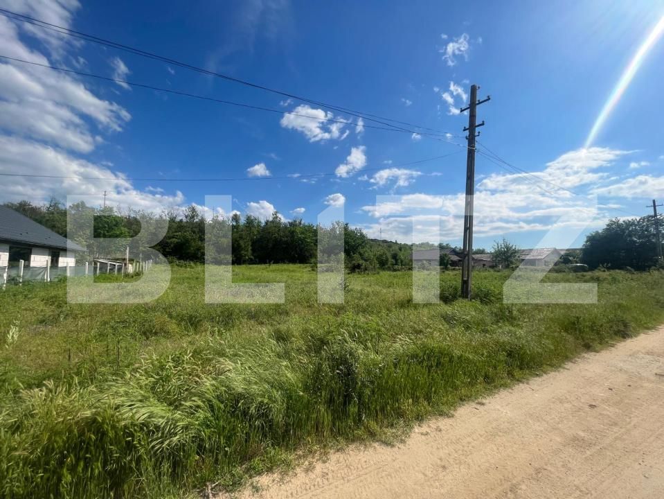 Teren de vânzare Leamna de Sus - 169218TV | BLITZ Craiova | Poza2