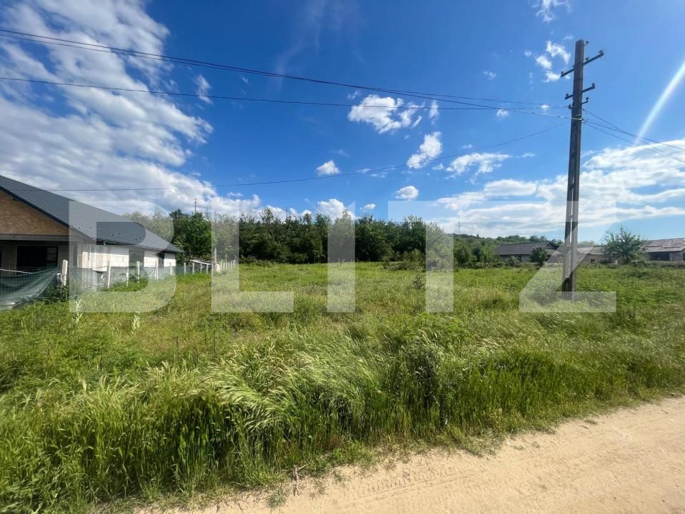 Teren de vânzare Leamna de Sus - 169218TV | BLITZ Craiova | Poza1