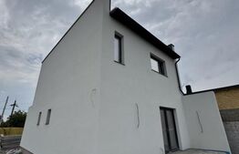 Comision 0%, casa P+1, 490 mp teren, zona Carpenului/ Bariera