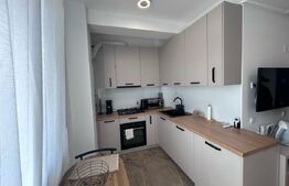 Garsoniera de inchiriat, 40 mp, cartier Rovine