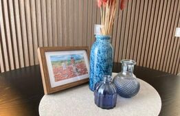 Studio de inchiriat, 38 mp, zona Rovine