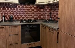 Studio de inchiriat, 38 mp, zona Rovine