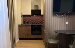 Studio de inchiriat, 38 mp, zona Rovine