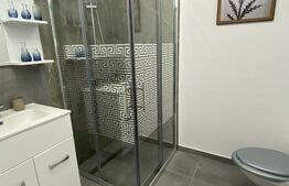 Studio de inchiriat, 38 mp, zona Rovine