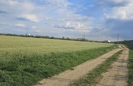 Teren Carcea,centura de sud