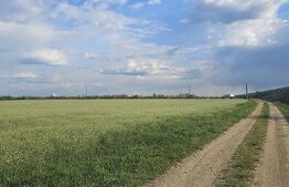 Teren Carcea,centura de sud