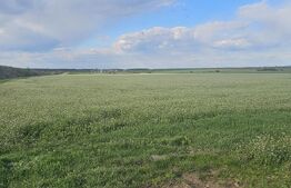 Teren Carcea,centura de sud