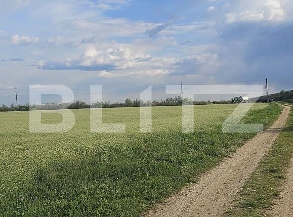 Teren de vânzare Carcea  - 169327TV | BLITZ Craiova | Poza1