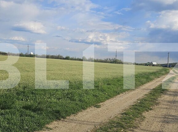 Teren de vânzare Carcea  - 169327TV | BLITZ Craiova | Poza3