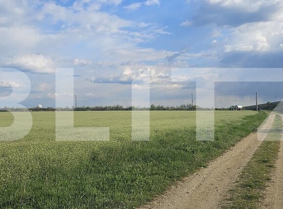 Teren de vânzare Carcea  - 169327TV | BLITZ Craiova | Poza2