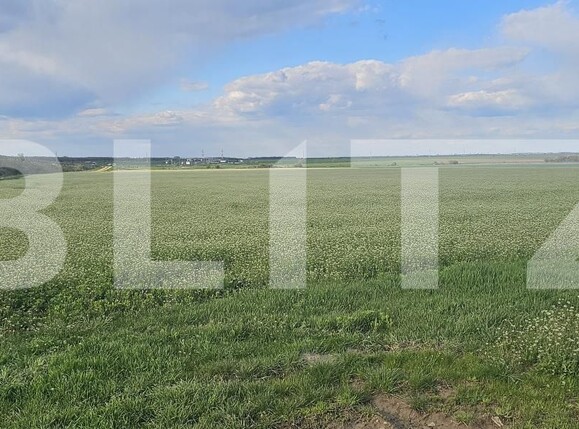 Teren de vânzare Carcea  - 169327TV | BLITZ Craiova | Poza4