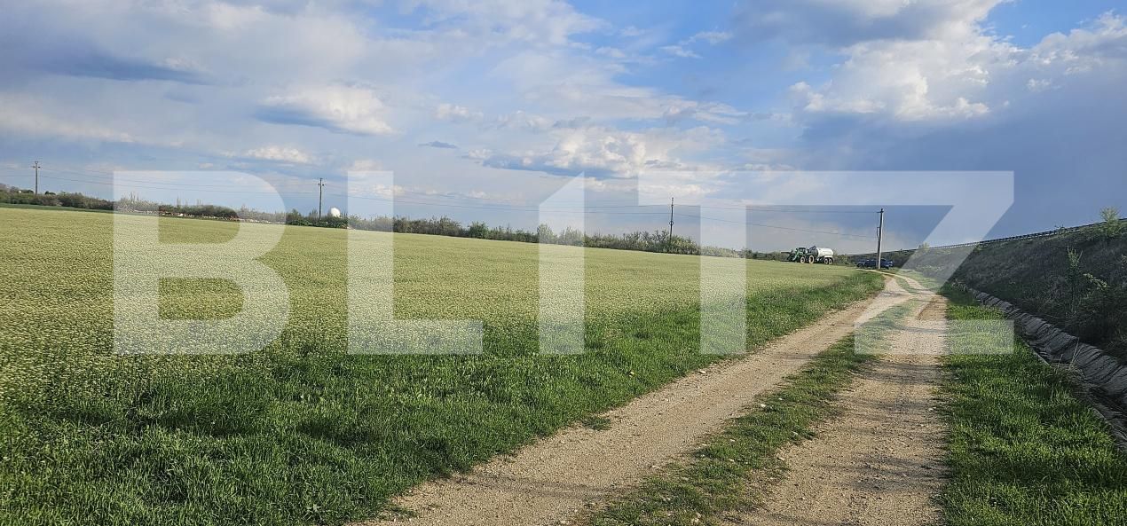 Teren de vânzare Carcea  - 169327TV | BLITZ Craiova | Poza3