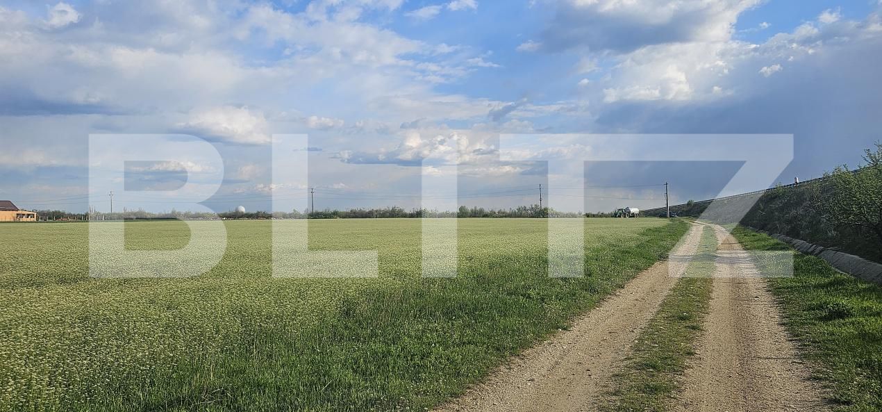 Teren de vânzare Carcea  - 169327TV | BLITZ Craiova | Poza2