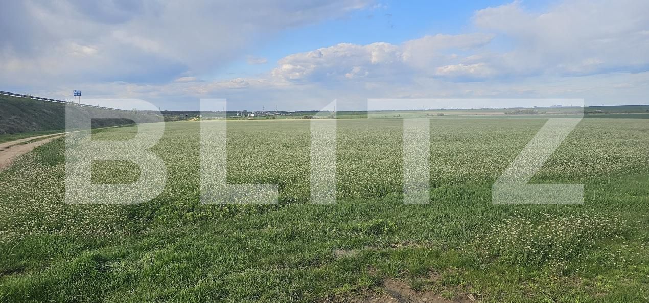 Teren de vânzare Carcea  - 169327TV | BLITZ Craiova | Poza4