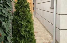 Duplex (A+B) 260 mp utili, 590 mp teren, mobilat utilat, zona Casa Noastra