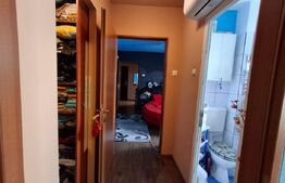 Apartament de vanzare cu 2 camere, 46 mp, zona Brazda lui Novac