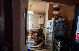 Apartament de vanzare cu 2 camere, 46 mp, zona Brazda lui Novac