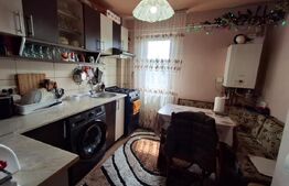 Apartament de vanzare cu 2 camere, 46 mp, zona Brazda lui Novac