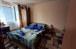 Apartament de vanzare cu 2 camere, 46 mp, zona Brazda lui Novac