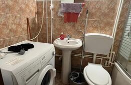 Camera camin de vanzare, 20 mp, zona Putnei 