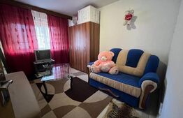 Camera camin de vanzare, 20 mp, zona Putnei 