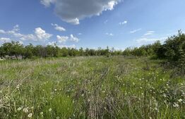 Teren intravilan, 1843 mp, front 32 ml, zona  Sarbatoarea