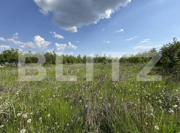 Teren de vânzare Bucovat - 169510TV | BLITZ Craiova | Poza2