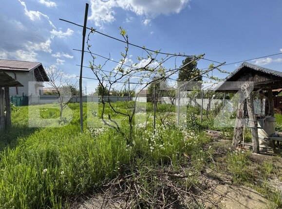 Teren de vânzare Bucovat - 169510TV | BLITZ Craiova | Poza8