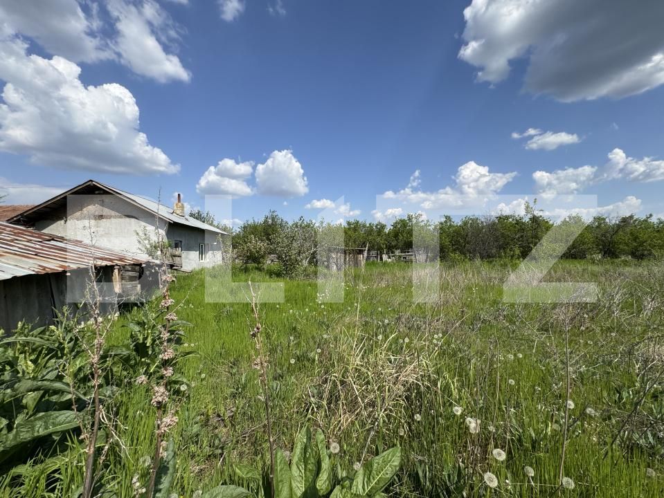 Teren de vânzare Bucovat - 169510TV | BLITZ Craiova | Poza3