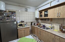 Casă P + E cu pod, subsol și garaj, 108 mp utili, 217 mp teren, Centru