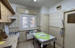 Casă P + E cu pod, subsol și garaj, 108 mp utili, 217 mp teren, Centru