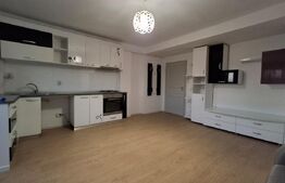Apartament de vanzare cu 2 camere, 49 mp, zona Lapus Arges 