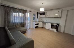 Apartament de vanzare cu 2 camere, 49 mp, zona Lapus Arges 