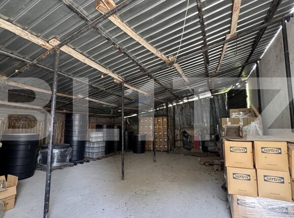 Spațiu industrial de închiriat Valea Rosie - 169665SII | BLITZ Craiova | Poza10