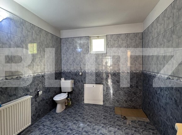 Spațiu industrial de închiriat Valea Rosie - 169665SII | BLITZ Craiova | Poza11