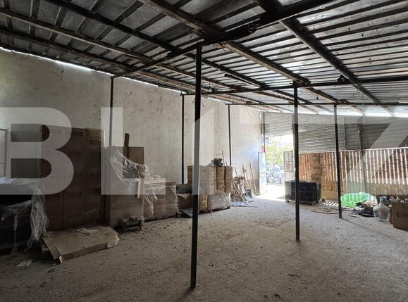 Spațiu industrial de închiriat Valea Rosie - 169665SII | BLITZ Craiova | Poza11