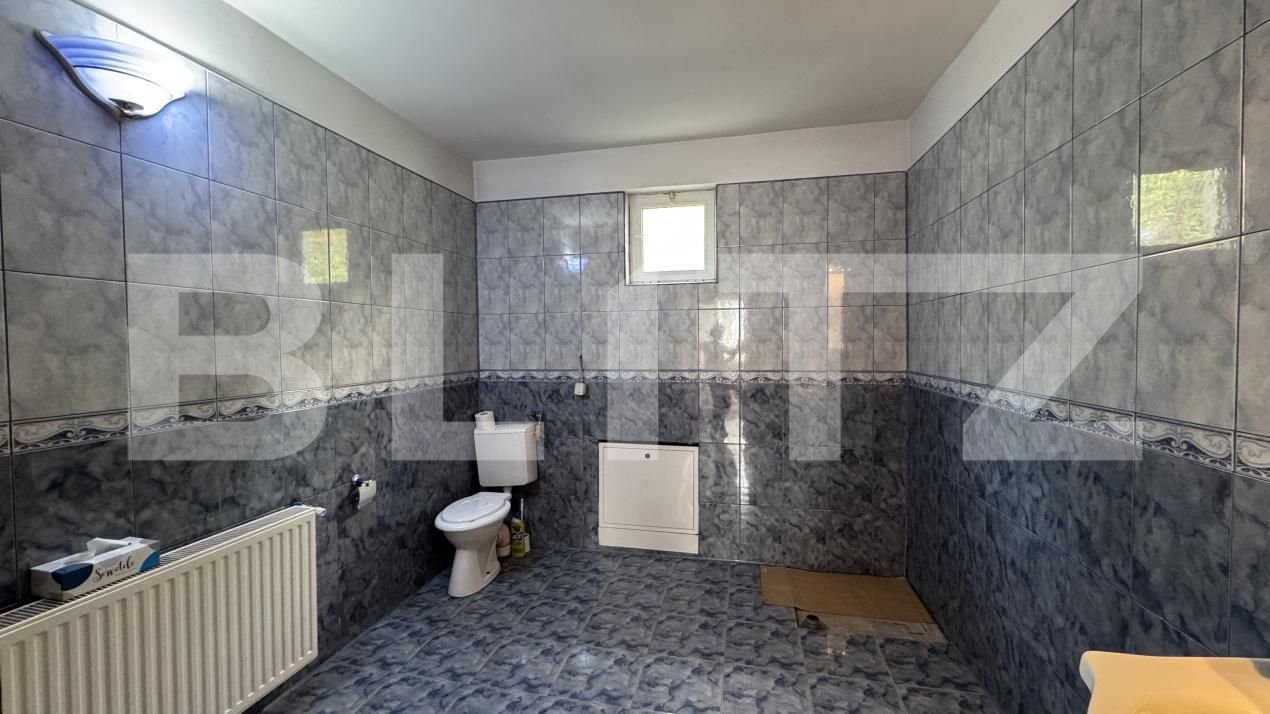 Spațiu industrial de închiriat Valea Rosie - 169665SII | BLITZ Craiova | Poza5