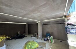 Casa P+E la cheie, 152 mp, 1000 mp teren, Carcea-Pelendava