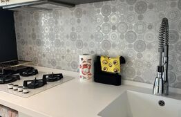 Apartament de 3 camere moden, Zona Calea Severinului