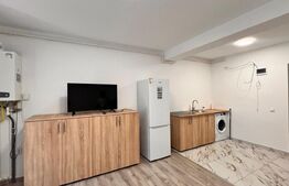 Garsonieră de inchiriat, 35 mp, zona Parcul Romanescu