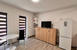 Garsonieră de inchiriat, 35 mp, zona Parcul Romanescu