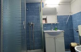 Casa parter renovata, 56 mp, 137 mp teren, zona Parcului Romanescu