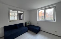 Casa parter renovata, 56 mp, 137 mp teren, zona Parcului Romanescu