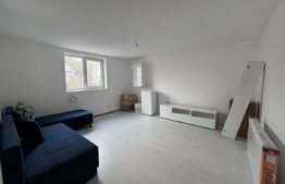 Casa parter renovata, 56 mp, 137 mp teren, zona Parcului Romanescu