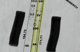 Teren intravilan, toate utilitatile, 1651 mp, Bals