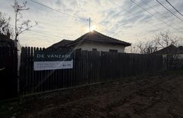 Teren intravilan, toate utilitatile, 2223 mp, Bals