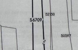 Teren intravilan, toate utilitatile, 2223 mp, Bals